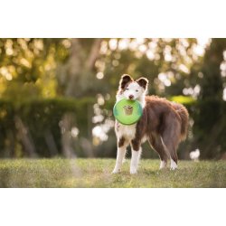 West Paw Sailz frisbee Large