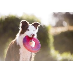 West Paw Sailz frisbee Large