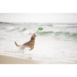 West Paw Sailz frisbee Large