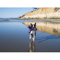 West Paw Skamp Large