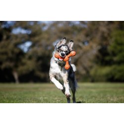 West Paw Skamp Large