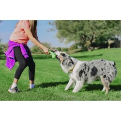 West Paw Skamp Large