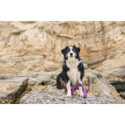 West Paw Snorkl Large