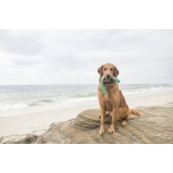 West Paw Snorkl Large