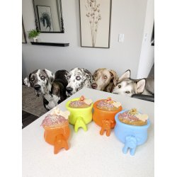 West Paw Toppl Stopper 