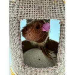 Whesco Kattetnde M/Mus Stor