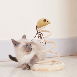 Whesco Spiral Legetj M/Mus 