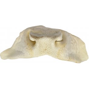 Whesco Hvide Oksenser 