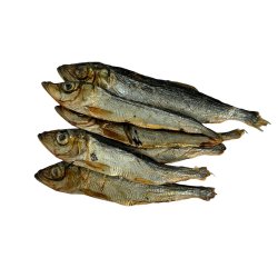 Whesco Trrede Fisk Herring 