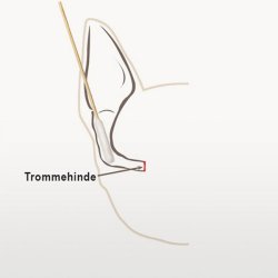 Bamboo Stick 50 Stk. - Vatpinde Til Hunde - S/M