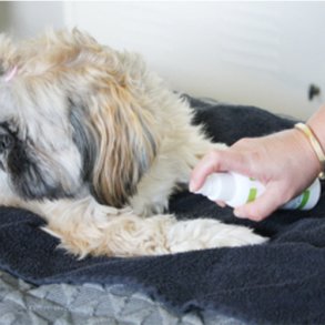 Plejeartikler Petdes DK