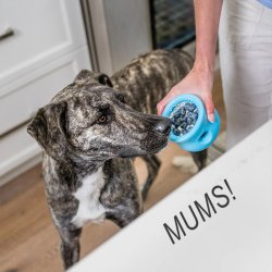 West Paw Toppl Large 