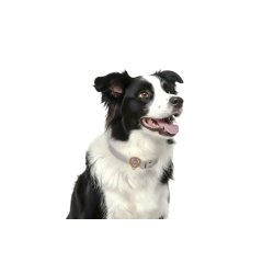 Anti Tick Best Buddy M/L 