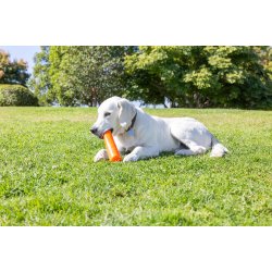 Chuckit Super Crunch Stick