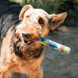 Chuckit Eco Fetch Ultra Stick 1-pk 