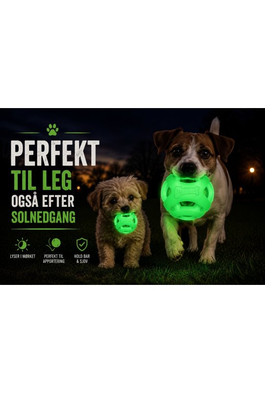 Chuckit Air Glow Fetch ball 2 pk