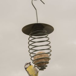 KonaCorn holder til vildtfuglebolde 