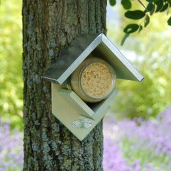 KonaCorn trhus til peanuts btter