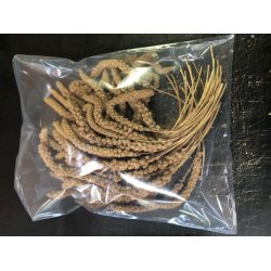 KonaCorn Hirsekolbe Gul