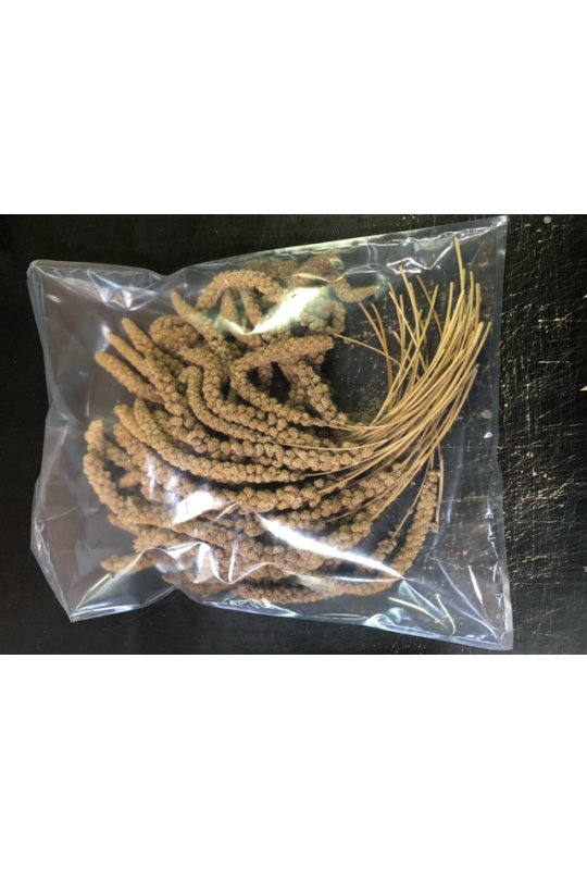 KonaCorn Hirsekolbe Gul