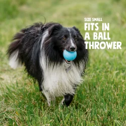 West Paw Boundr Small 2 pk