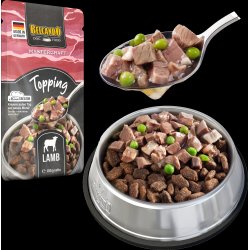 Mastercraft Topping lam 100 gr. 