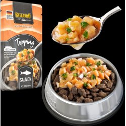 Mastercraft Topping laks 100 gr. 