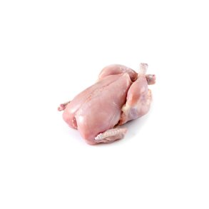Fjerkræ