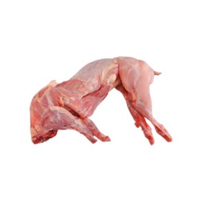 Kanin